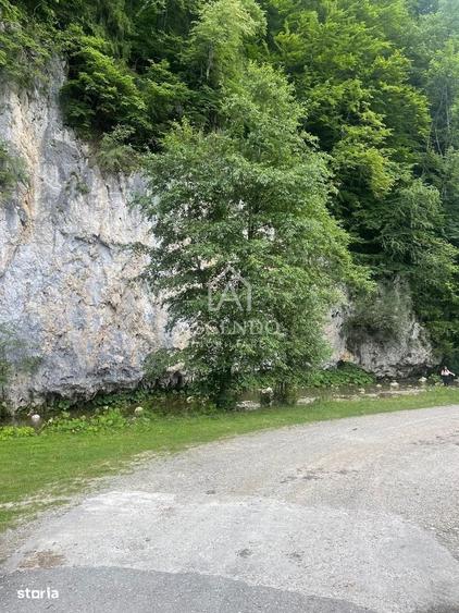Teren Investitie Turistica Dambovicioara Baranga | 4.500 mp - 8