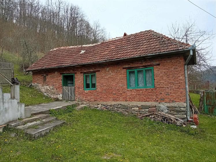 Casă cu Teren 7000 Mp în Poieni (Densuș)