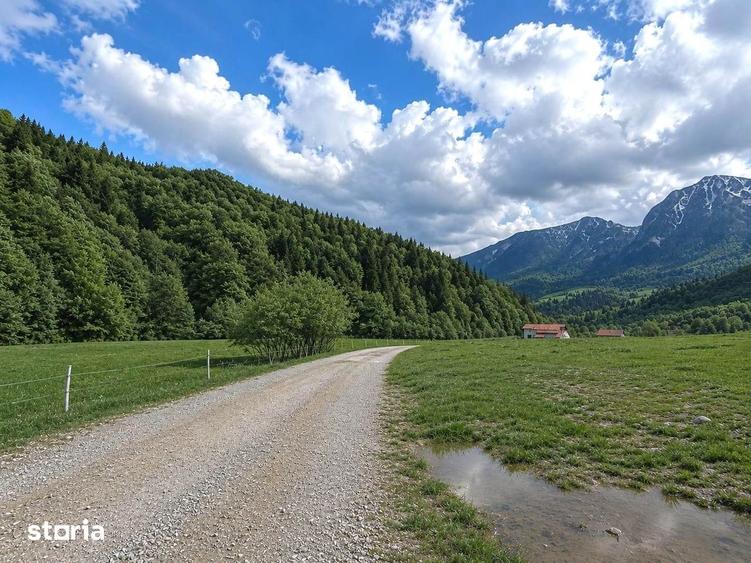 Zarnesti-Barsa Fierului-Teren 1.893 mp pentru Casa de vacan?a, A-frame - 4