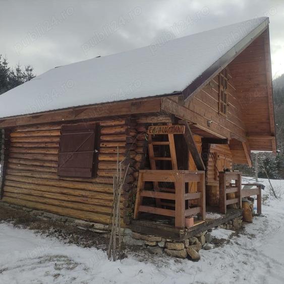 Teren de 9172 mp, în Pintic