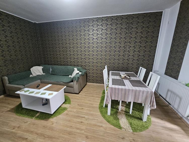 Apartament 2 camere Damaroia - 6