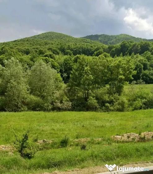 Teren de 421 mp, în Măieruș