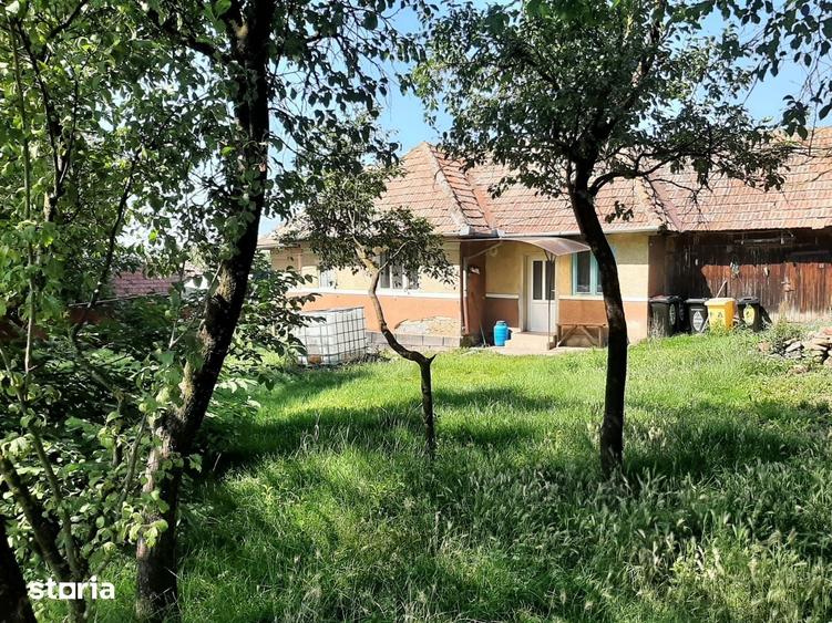 Teren cu utilitati si veche in Rediu - 3