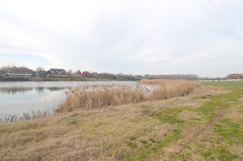 Teren Construcții intravilan de 1000 mp, în Frumușani