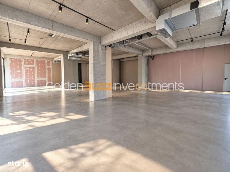 Spațiu comercial, de 370 mp, în Herăstrău