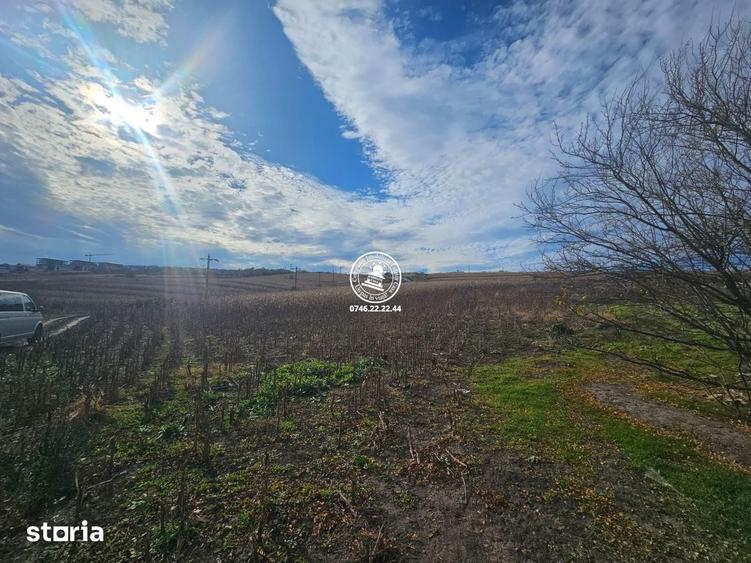 Teren de 11000 mp, în Miroslava