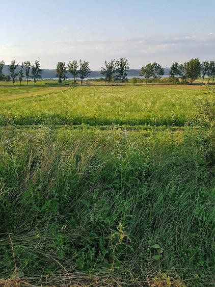 Teren de 8700 mp, în Fârdea