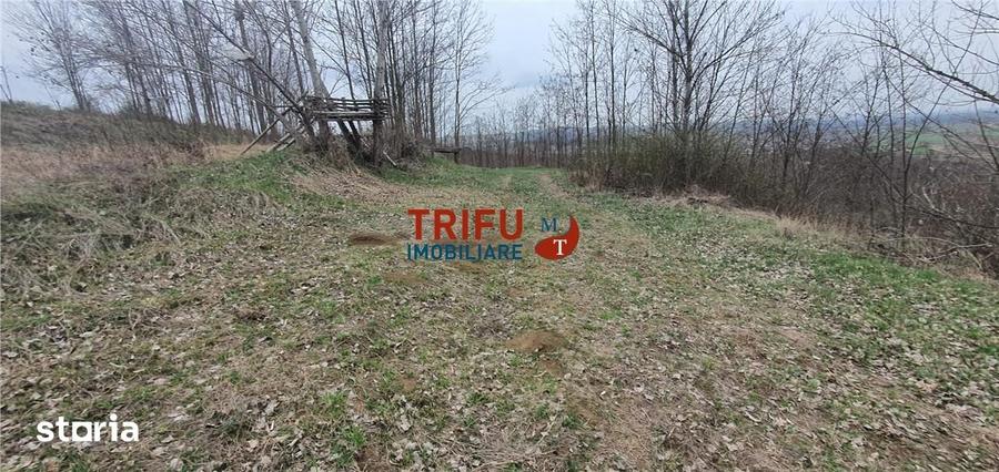 Teren de 5300 mp, în Ciugud