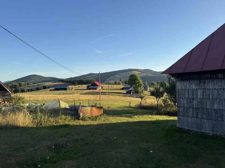 Teren de 15000 mp, în Poienița