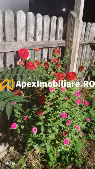 Casă cu 3 camere decomandat cu Teren 350 Mp în Cotroceni