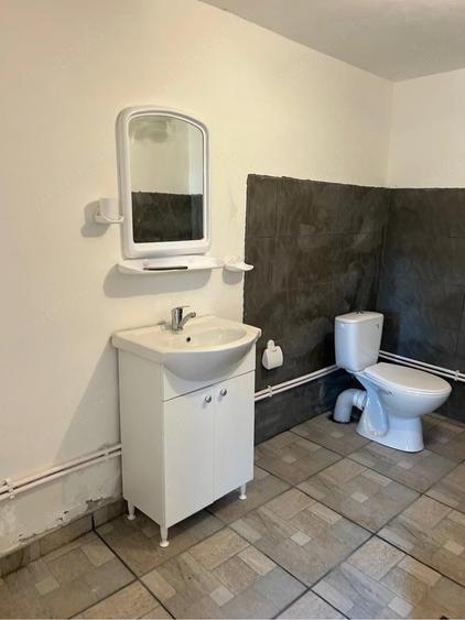 Casă cu 4 camere cu Teren 25000 Mp în Crângu