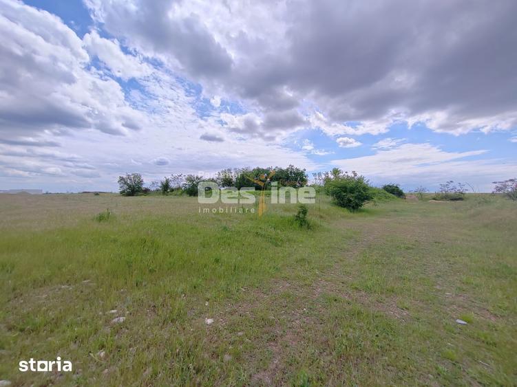 Teren de 114000 mp, în Ariceștii Rahtivani