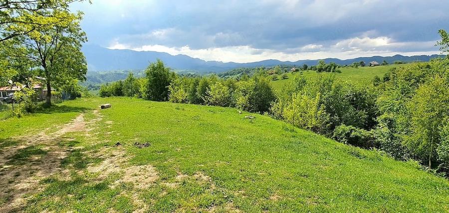 Teren de 2500 mp, în Peștera