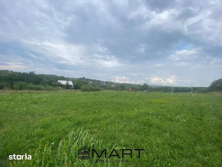 Teren de 8000 mp, în Roșia