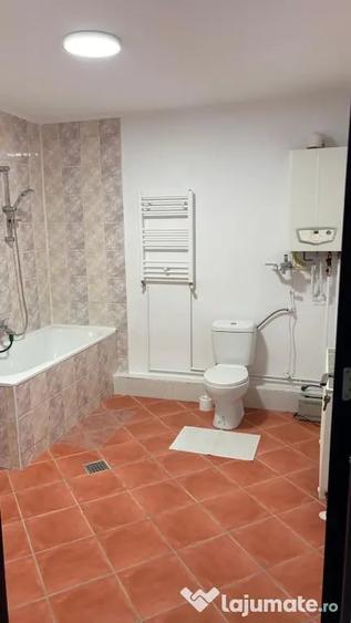 Casă cu 3 camere în Ronaț