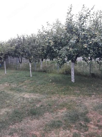Casă cu Teren 1268 Mp în Central