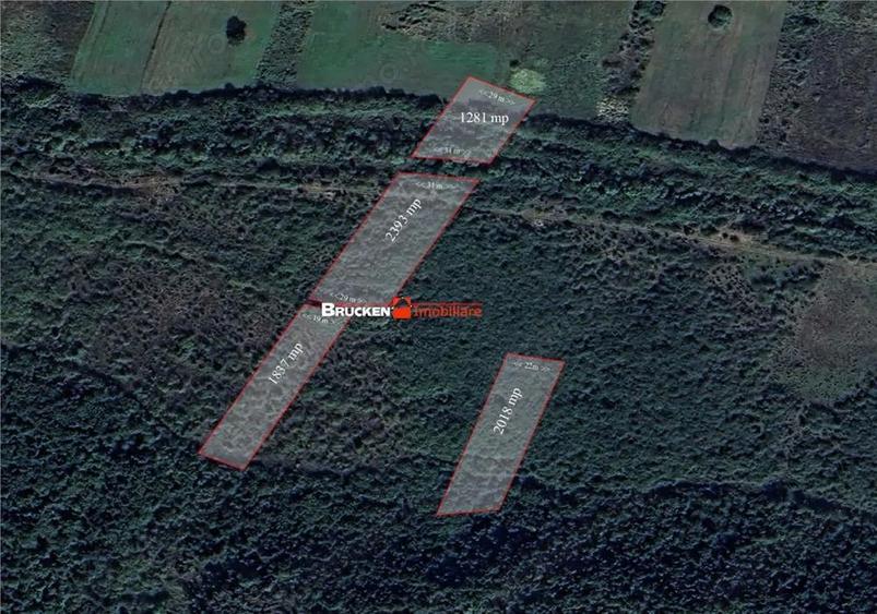 Teren de 23400 mp, în Husasău de Tinca