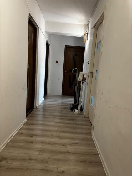 Apartament 3 camere Utvinis langa ZIMANDCUZ 10 minute de Arad - 8