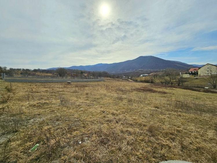 Teren Construcții intravilan de 695 mp, în Nord-Vest