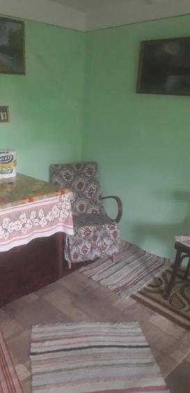 Ocazie! Urgent Casa batraneasca de vanzare pe malul Dunarii Ostrov, Constanta - 3