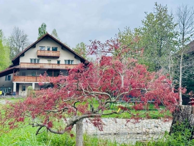 Casă individuală cu 9 camere cu Canalizare în Bran