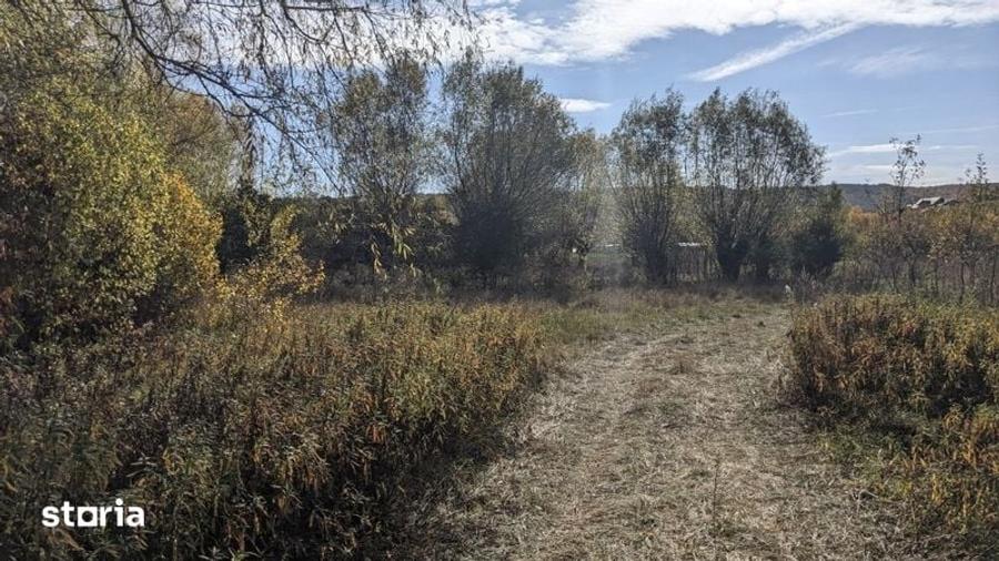 Teren de 8400 mp, în Mociu
