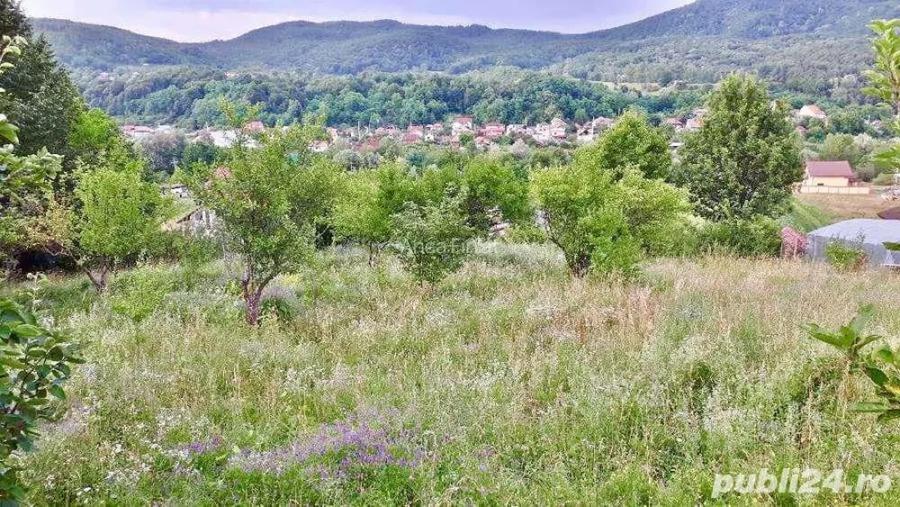 Teren de 3600 mp, în Morilor