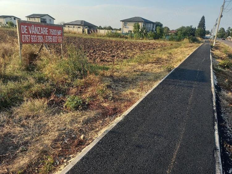 Teren de 7500 mp, în Adunații-Copăceni