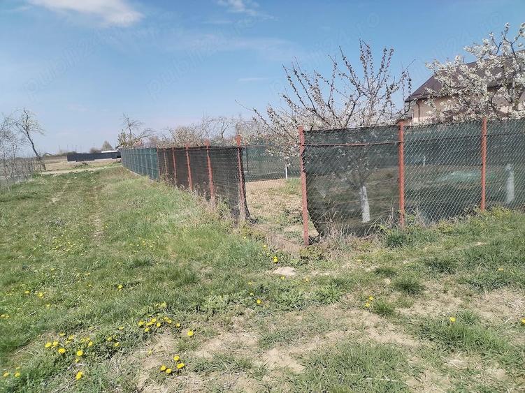 Teren de 5500 mp, în Ruși-Ciutea