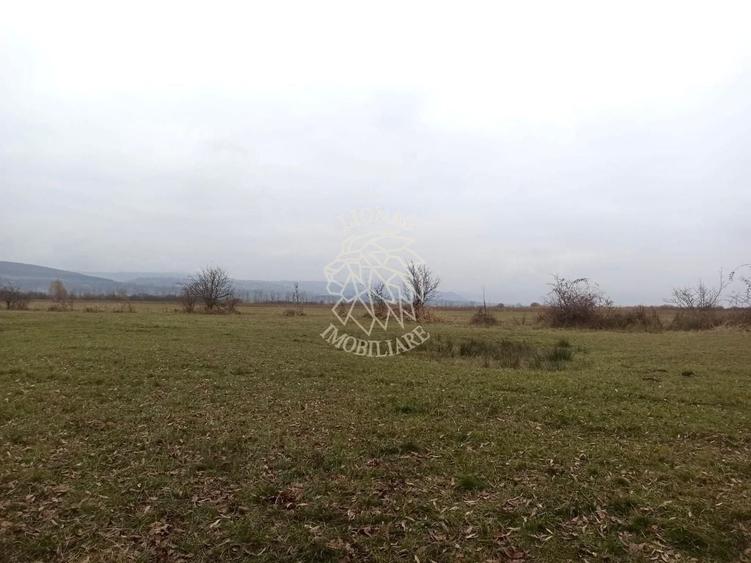Teren agricol extravilan de 19611 mp, în Livezile