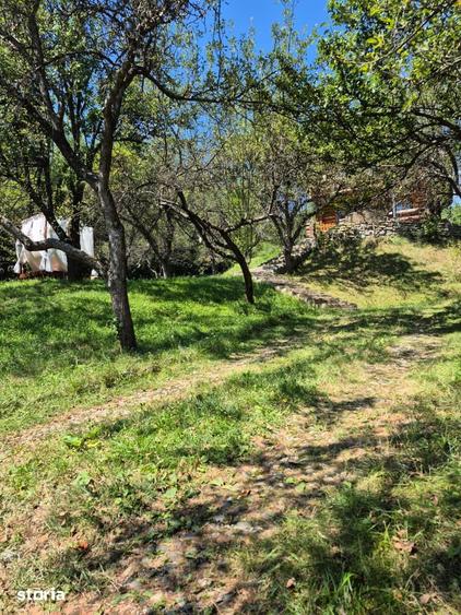 Casă cu Teren 31000 Mp în Corbi