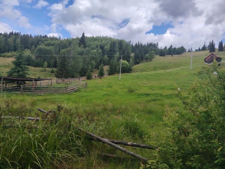 Vand teren in panaci - 3
