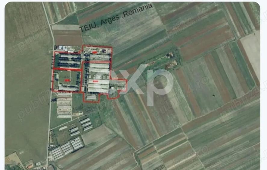 Teren Construcții intravilan de 120000 mp, în Teiu