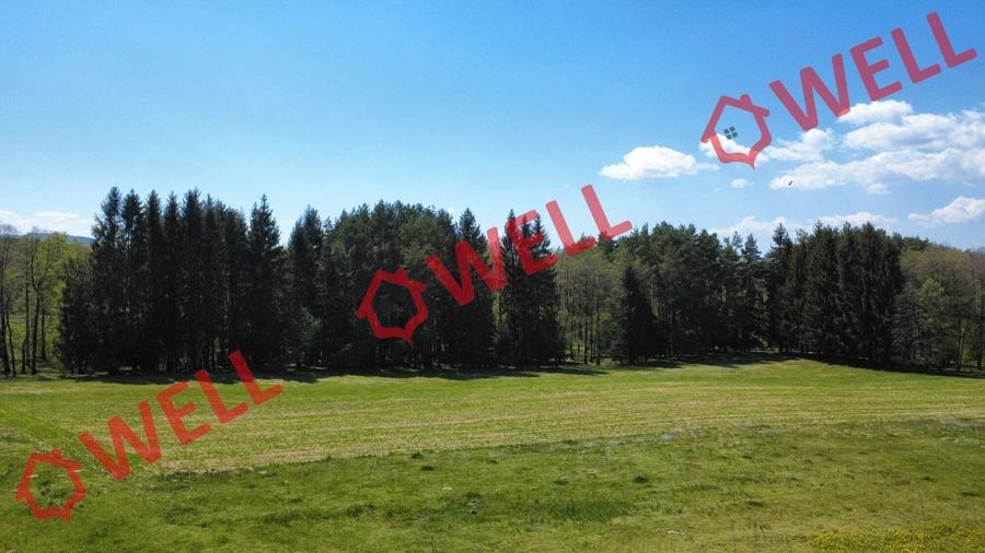 Teren agricol extravilan de 2900 mp, în Reci