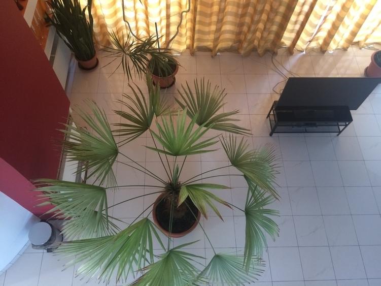 Casă cu 6 camere cu Teren 1000 Mp în Pipera