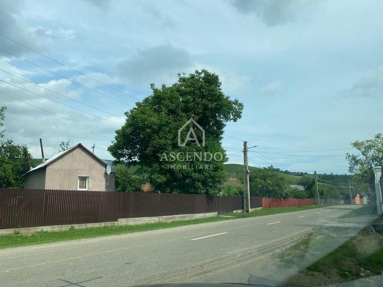Teren Construcții intravilan de 15900 mp, în Fințești