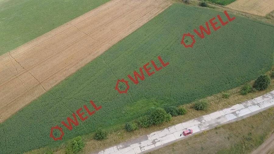 Teren agricol extravilan de 10000 mp, în Arcuș