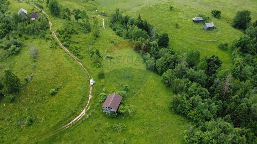 Teren Construcții intravilan de 8119 mp, în Călățele