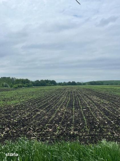 Teren de 3750 mp, în Central