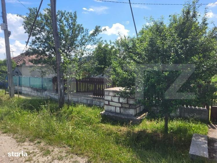 Casă cu 3 camere cu Teren 4200 Mp în Mihai Viteazu