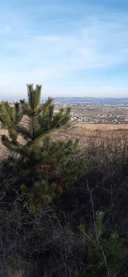 Teren de 13500 mp, în Pâclișa