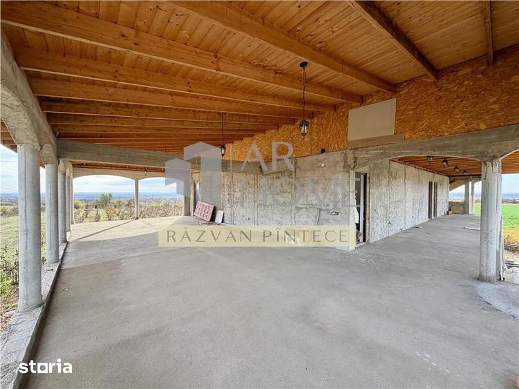 Spațiu comercial, de 450 mp, în Păltiniș