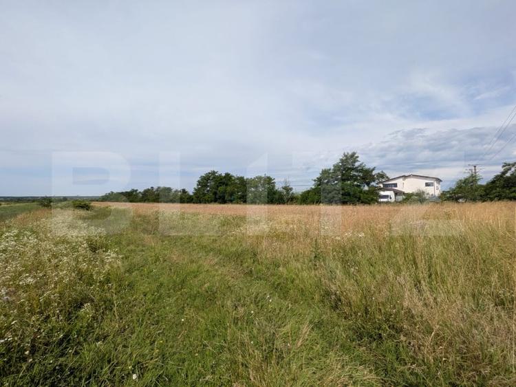 Teren Construcții intravilan de 3148 mp, în Dragomirești