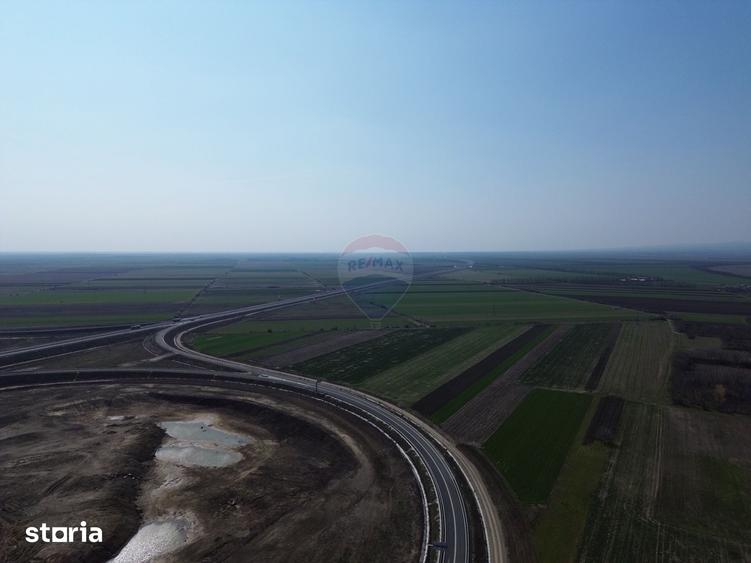 Teren de 5000000 mp, în Slobozia Ciorăști