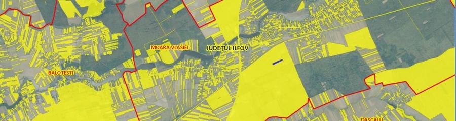 Teren agricol extravilan de 7170 mp, în Moara Vlăsiei