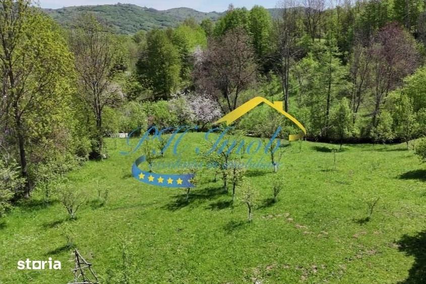 Casă cu 5 camere cu Teren 1991 Mp în Provița de Sus