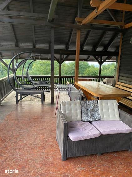 Vanzare teren 3000 mp, cabana, zona D D Rosca, Faget - 6