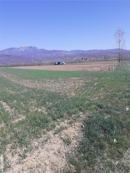 Teren de 2000 mp, în Jiblea Nouă