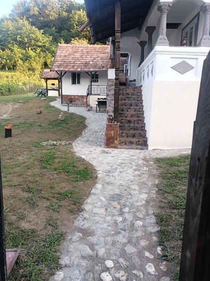 Casă cu Teren 2000 Mp în Bujoreni