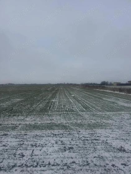 Teren de 5000 mp, în Șag